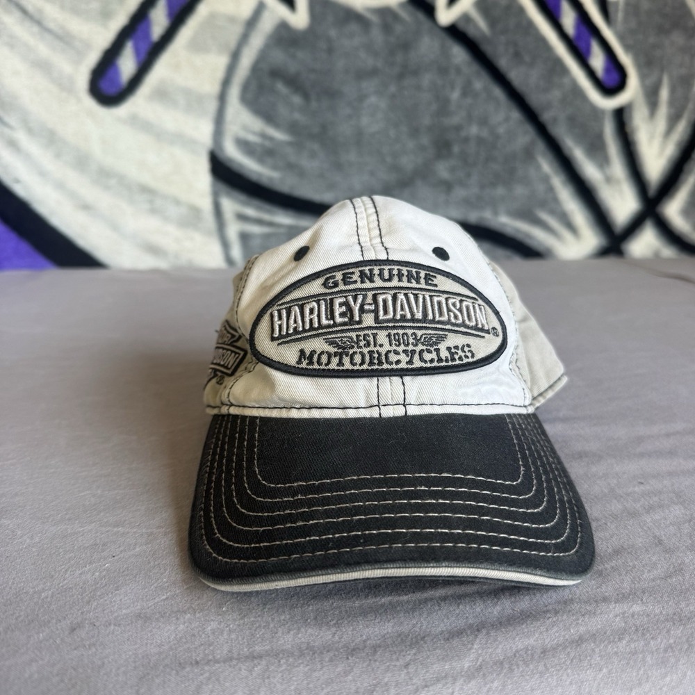 HARLEY DAVIDSON EMBROIDERED MESH TRUCKER HAT CAP - OSFA Chico, CA